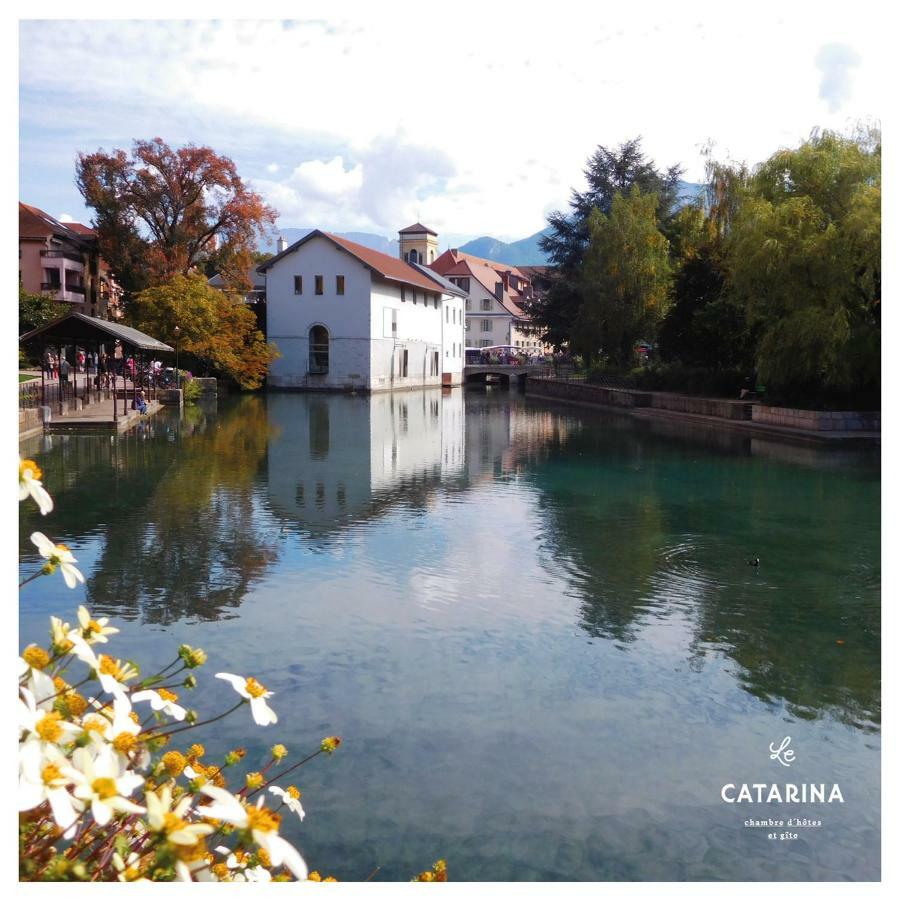 Le Studio Annecy Exterior foto